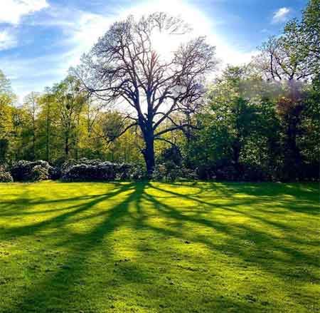 دانلود آهنگ عاشقت شدم هادی رحیمی